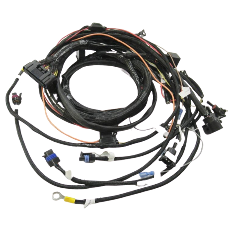 ECU wire harness