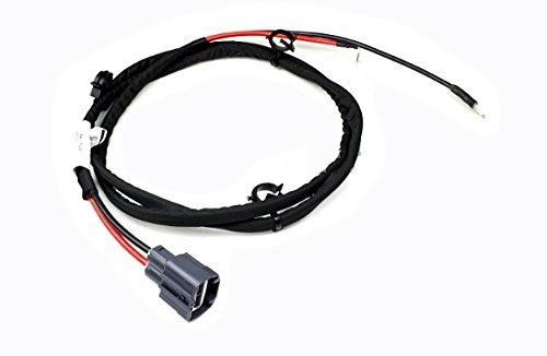 Power Steering Pump Wiring Harness