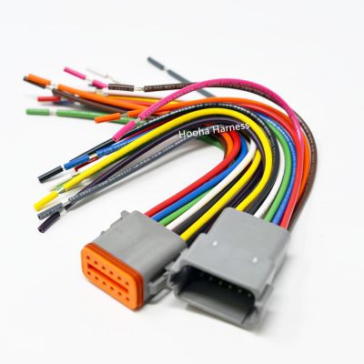 DT 12 Pin Wiring