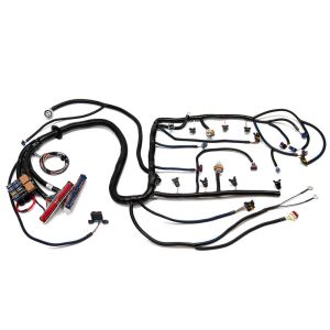 LS Wiring Harness
