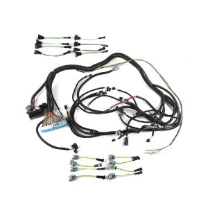 ls1 ecu and harness