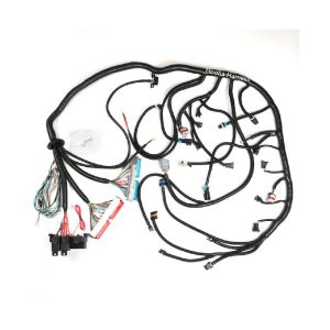 ls1 stand alone harness 4l60e