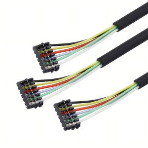 JST XSR Connector 6P Wire Harness