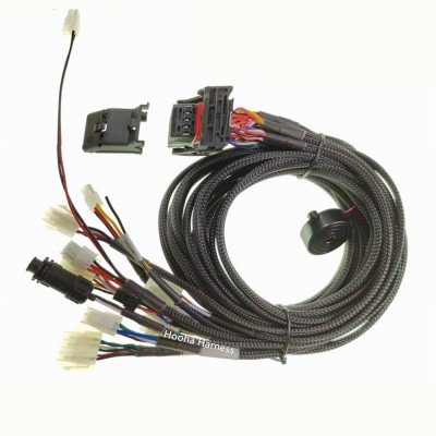 ECU Wire Harness