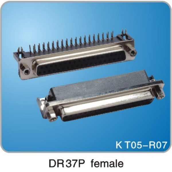 DR37P Female