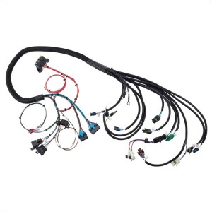 ECU Wire Harness