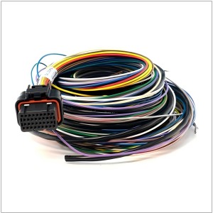 Engine Management Wire Harness