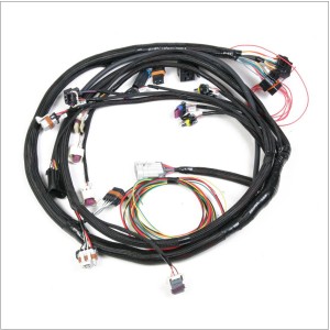 Engine Management Wire Harness