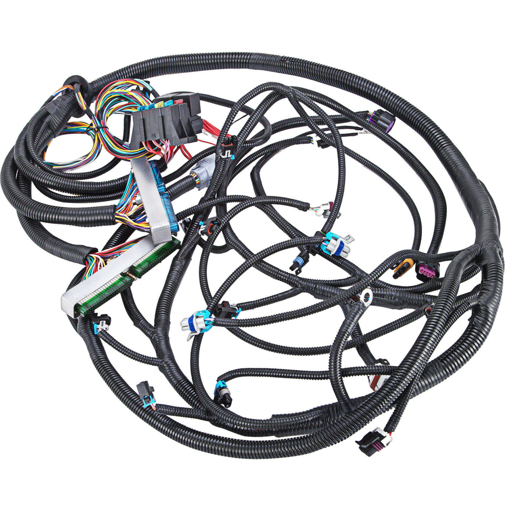 LS swap ecu and harness