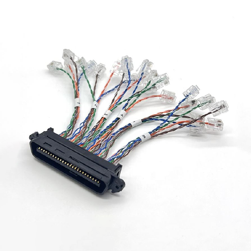RJ21 cable
