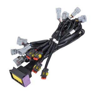 ECU wire harness
