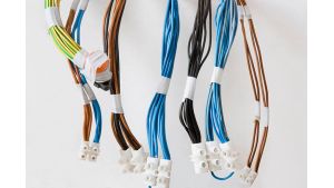 Custom vs. Standard Harness | Which Is Better