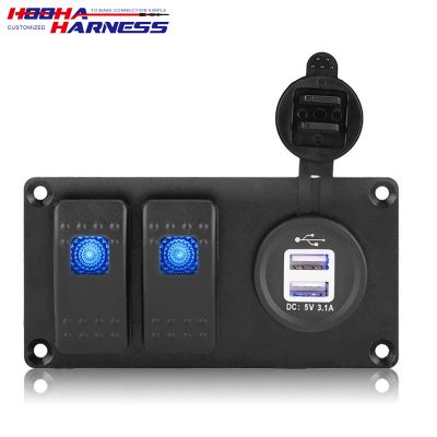 2 Gang 12/24V Blue LED light Rocker Switch Panel with Dual USB charger