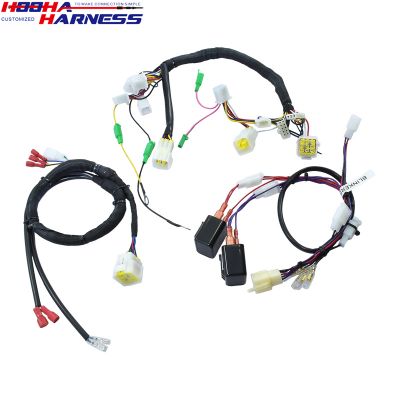 OEM Electric moped Motorbike wire harness assembly