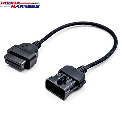 Opel 10 Pin to OBD2 16 PIN Female Cable
