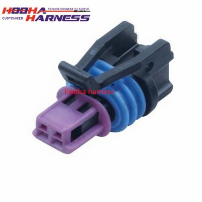 2-pin/pole/position connector